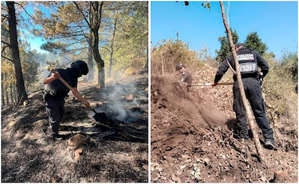 Policía Estatal Forestal destruye 5 hornos clandestinos usados para deshidratar madera