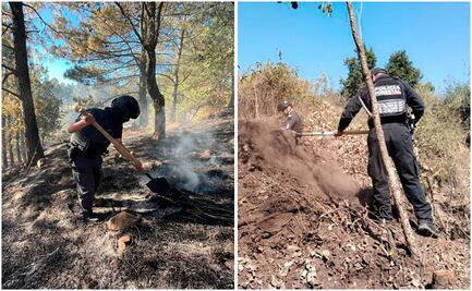 Policía Estatal Forestal destruye 5 hornos clandestinos usados para deshidratar madera