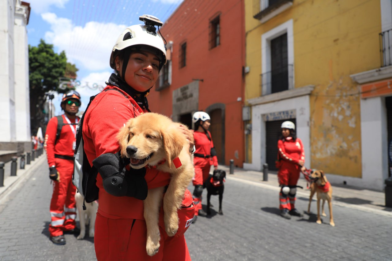 Foto: Agencia Es Imagen para El Universal Puebla