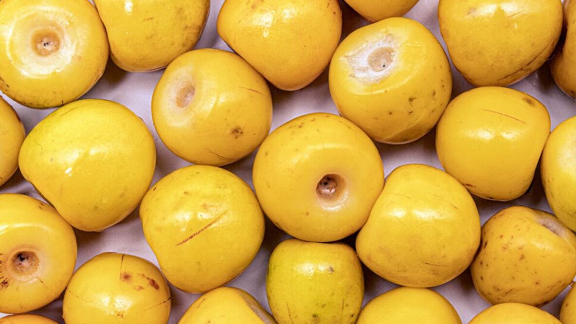 Según los expertos, el nanche favorece la síntesis de colágeno en el cuerpo debido a su riqueza en nutrientes, como la vitamina C.

Foto: Producción El Universal Puebla