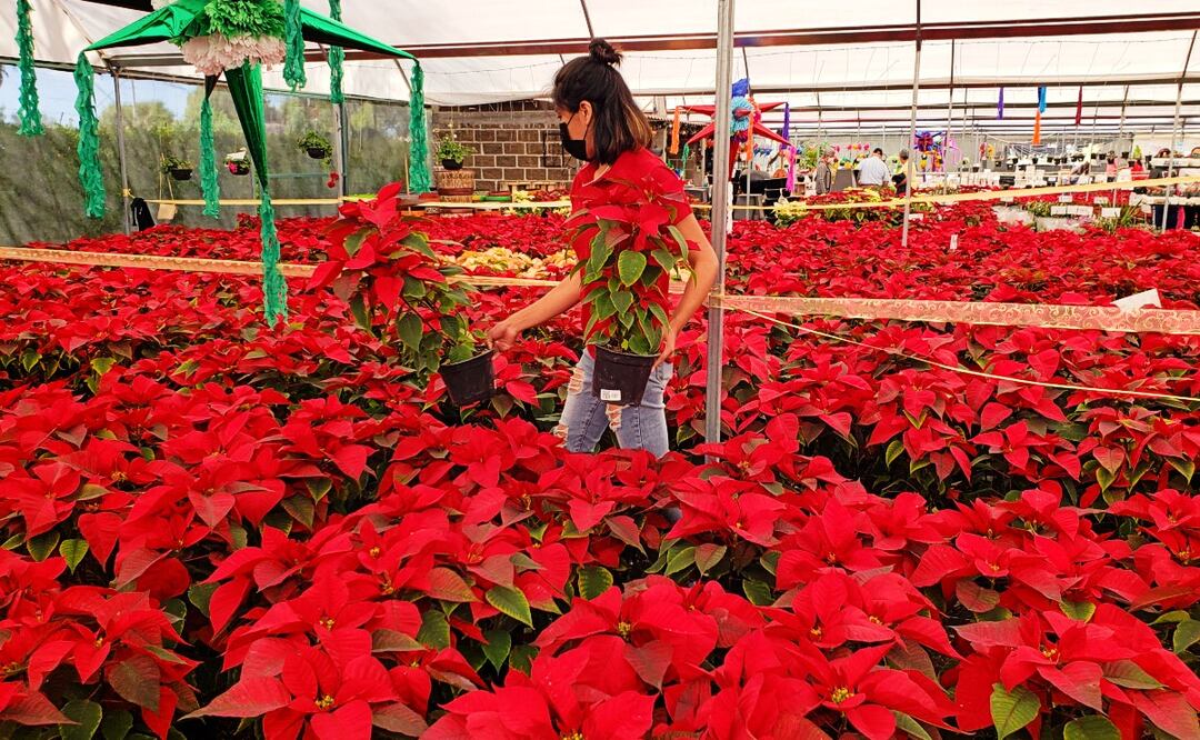 FOTO: Agencia Es Imagen para El Universal Puebla