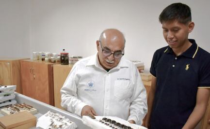 Instituto de Ciencias de la BUAP posee la colección de insectos más grande de Puebla