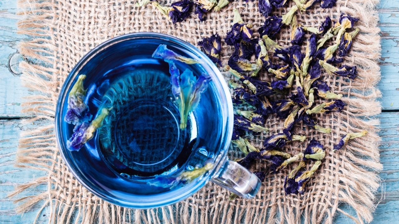 Los estudios afirman que gracias al contenido adecuado de cafeína, el té azul estimula al cuerpo a quemar calorías. 

Foto: Producción El Universal