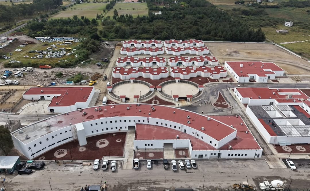 Actualmente 130 animales permanecen bajo resguardo en San Pablo Xochimehuacan | Foto: Gobierno del Estado
