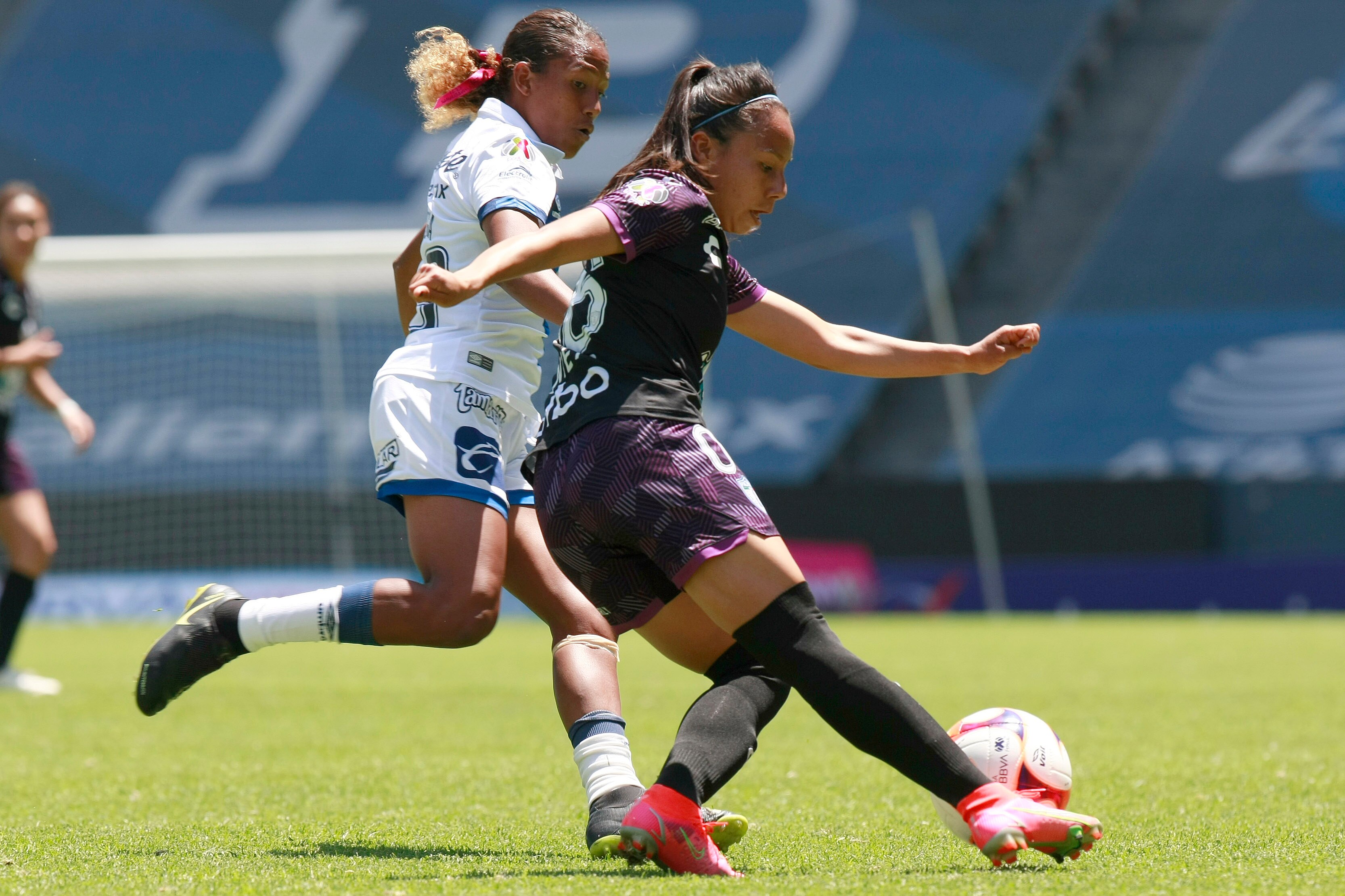 Participa en el Torneo de Campeones 2021
