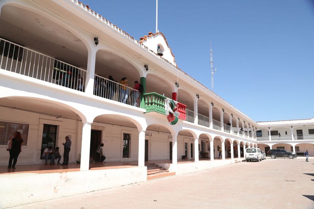 En Santa Clara Ocoyucan es constante la tala ilegal de árboles | EsImagen