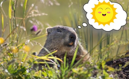 ¿Quién es la marmota Phil y por qué predice el clima?