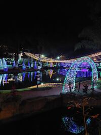 Así puedes llegar desde Puebla a la hermosa Laguna Iluminada