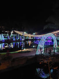 Así puedes llegar desde Puebla a la hermosa Laguna Iluminada