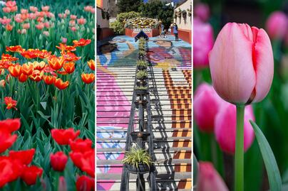 Así es el Pueblo Mágico de Puebla que huele a flores todo el año