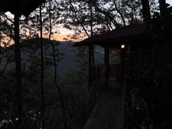 Así son las impresionantes casas del árbol en Zacatlán