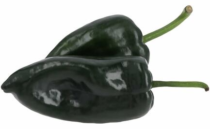 Chile Poblano. Estos son los beneficios de este producto mexicano