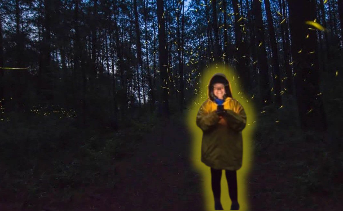 Los 3 mejores tours de luciérnagas en Puebla