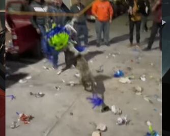 Perrito roba piñata con todo y dulces en Puebla 
