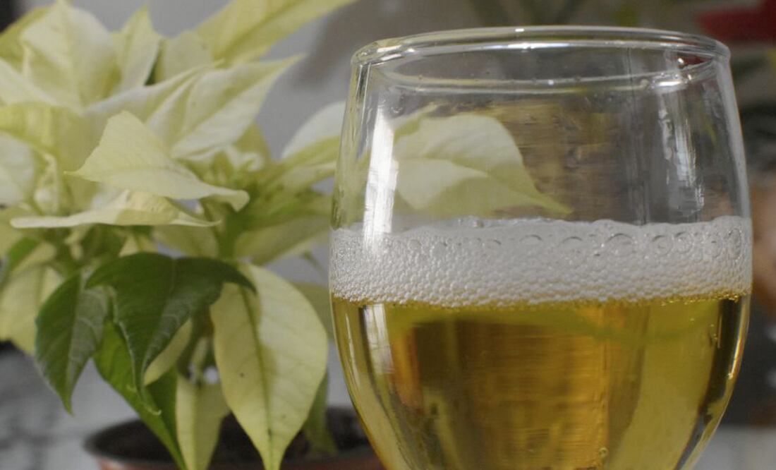 Las uvas son un fruto con muchas propiedades y en Puebla han cobrado relevancia | Foto: Agencia Es Imagen para El Universal Puebla