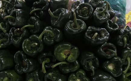 ¿Cuántas toneladas de chile poblano produce Puebla?
