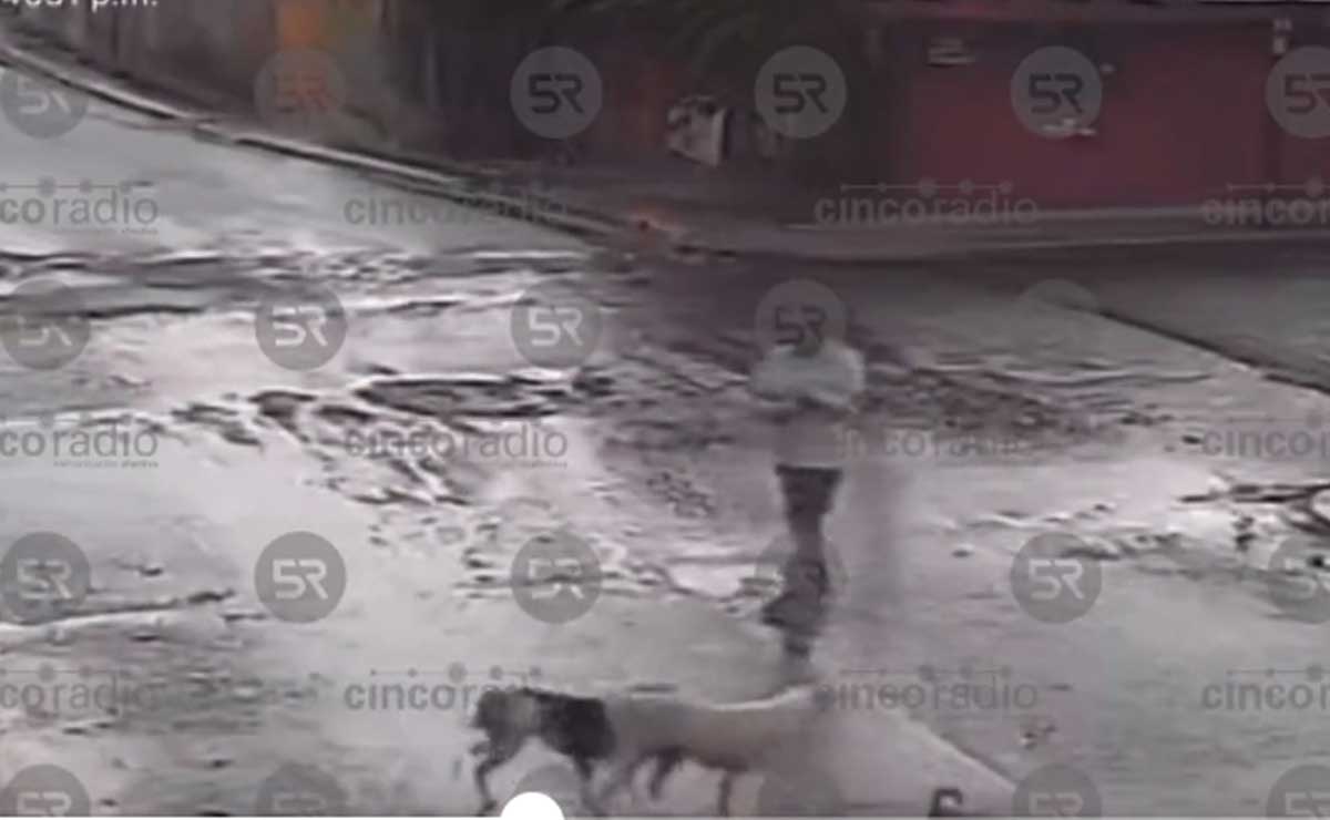 VIDEO Sujeto dispara a perritos en colonia Tres Cruces, hiere a uno