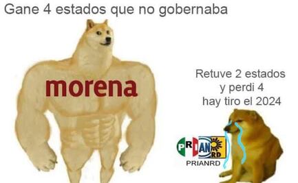 Con meme de perritos, líder de Morena se burla de opositores "moralmente derrotados" en elección