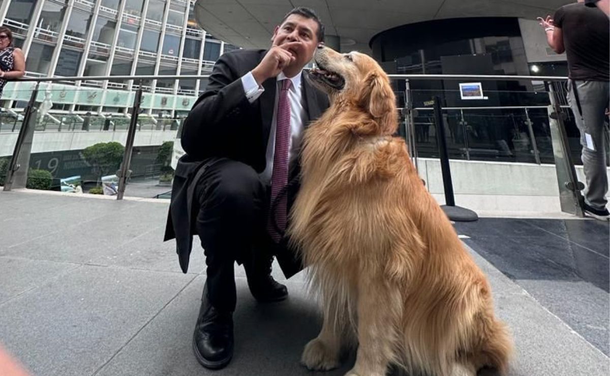 Alejandro Armenta impulsa iniciativa contra el maltrato animal