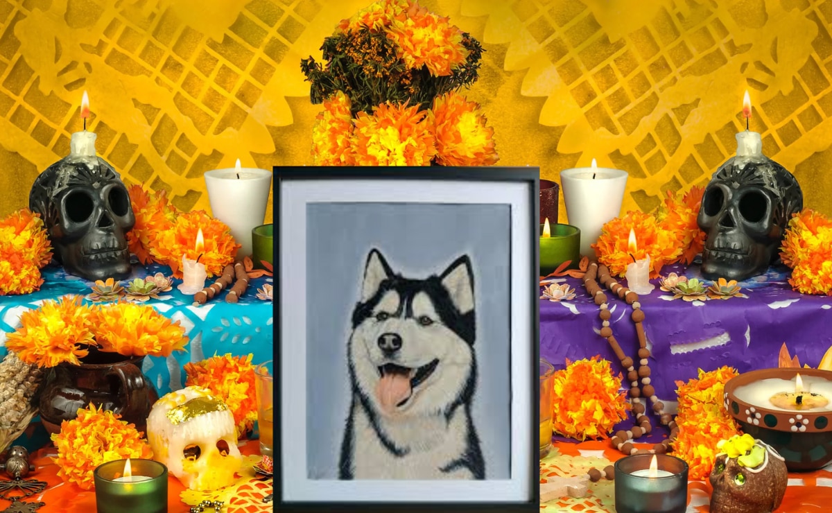 ¿Qué día se pone la ofrenda para las mascotas?