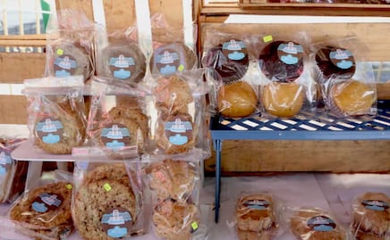 EMPRENDEDORES EN TLAXCALA