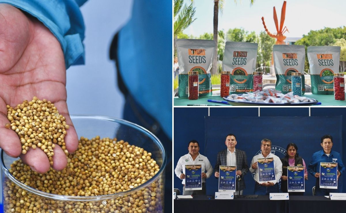 17 edición de la Expo Hortícola Puebla-BUAP 2025