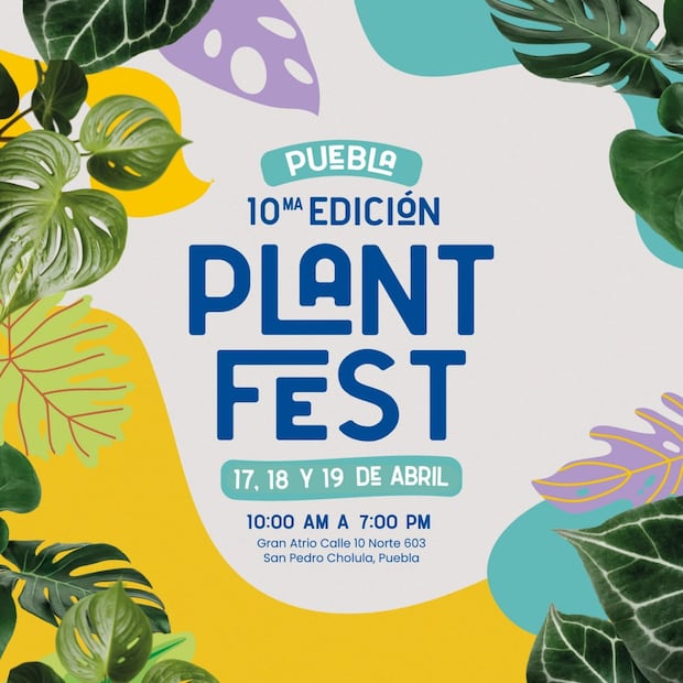 Foto: FB Plant Fest