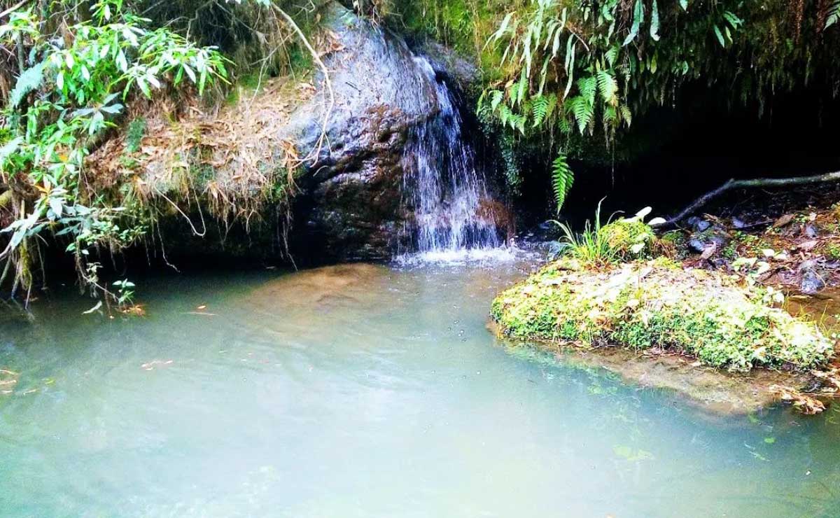 Jicolapa, el pueblito que alberga los manantiales ocultos de Zacatlán