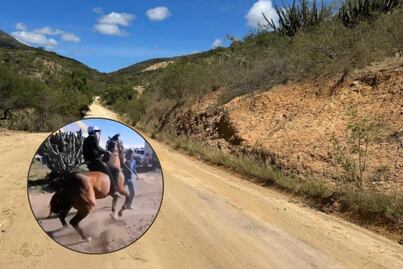 VIDEO Maltratan a caballo en fiesta patronal de Puebla y animalistas exigen revisar estas prácticas