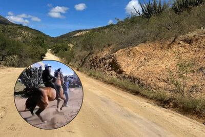 VIDEO Maltratan a caballo en fiesta patronal de Puebla y animalistas exigen revisar estas prácticas