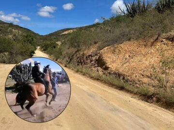 VIDEO Maltratan a caballo en fiesta patronal de Puebla y animalistas exigen revisar estas prácticas