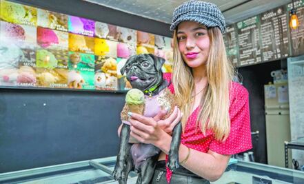 Humanizar a las mascotas es perjudicial, señala UNAM