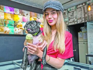 Humanizar a las mascotas es perjudicial, señala UNAM