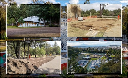 Parque Flor del Bosque cerrará temporalmente por obras de rehabilitación