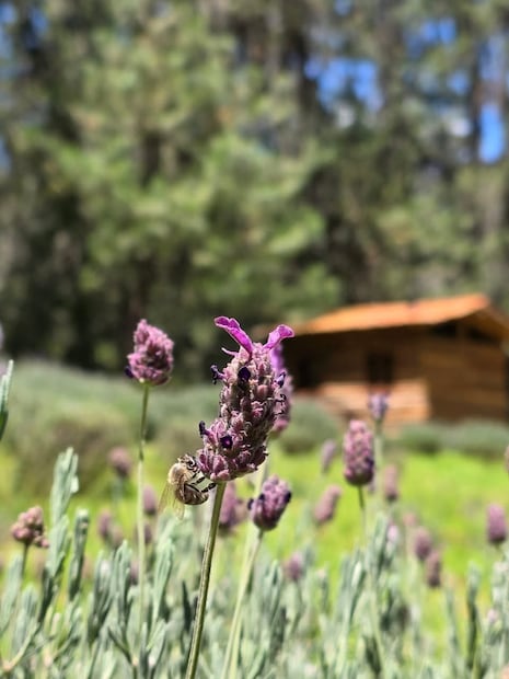 Foto: FB Rancho San Martín