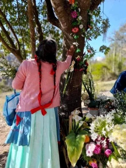Se aparece la Virgen de Guadalupe en un árbol, señalan pobladores de  Zautla