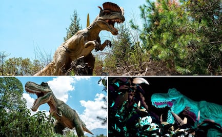 Aprovecha los últimos días de vacaciones y disfruta el Jurassic Park de Puebla