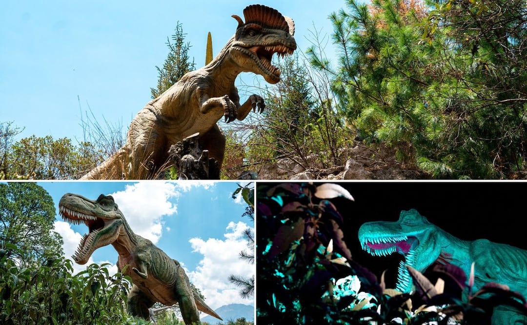 En Volcanic Park hay dinosaurios de tamaño real | Foto: Facebook Volcanic Park