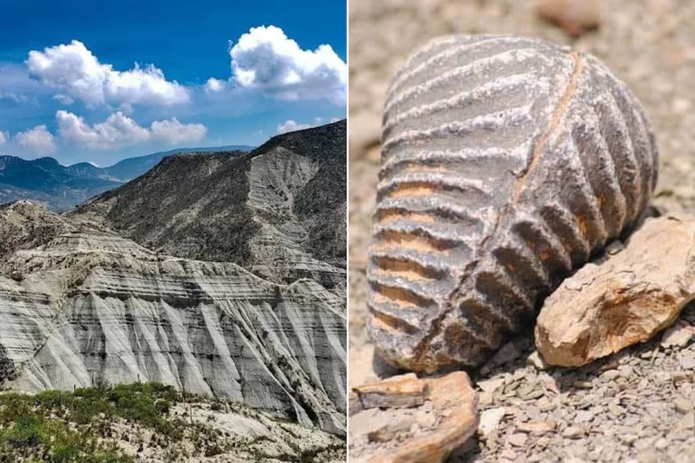 En Puebla se pueden explorar fósiles, huellas de dinosaurios y restos de otras especies marinas | Foto: Google Maps / FB Atexcal