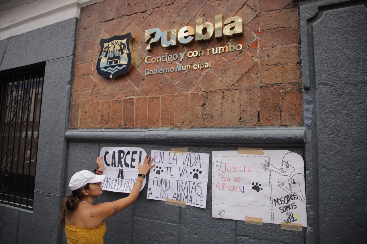 Foto: Agencia Es Imagen para El Universal Puebla