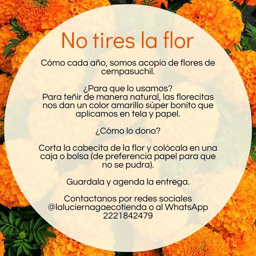 Foto: Especial