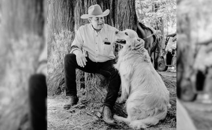 Muere Tommy, el perrito más famoso de Puebla