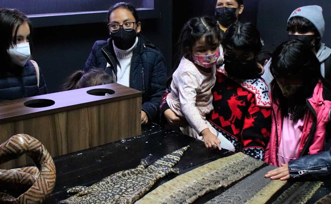 El primer megapuente está aquí y algunas opciones buenas, bonitas y baratas son estas | Foto: Agencia Es Imagen para El Universal Puebla