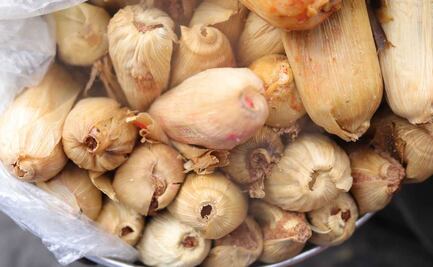 Tamales en Puebla. Este es el top 5 de los más ricos