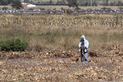 Sequía afecta a la tercera parte del estado de Puebla 