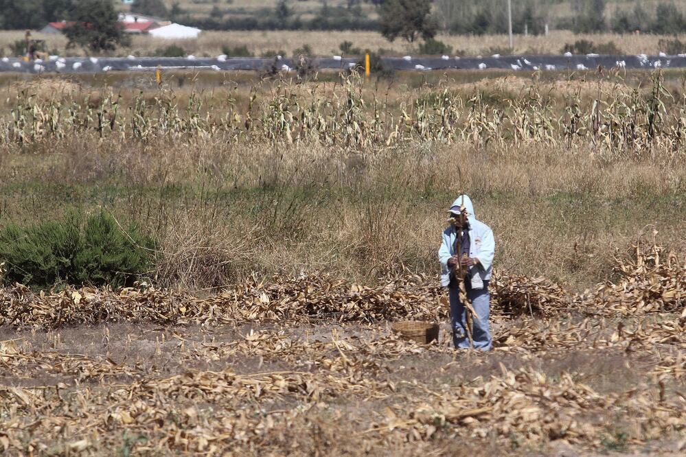 Imagen: Agencia Enfoque para El Universal Puebla