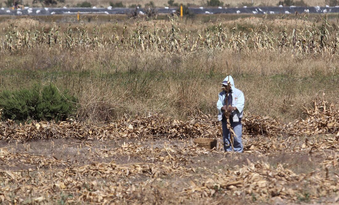 Imagen: Agencia Enfoque para El Universal Puebla