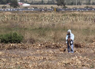 Sequía afecta a la tercera parte del estado de Puebla