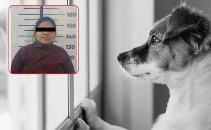Inédito, encarcelan a mujer por abandonar a perrita en una veterinaria de Puebla