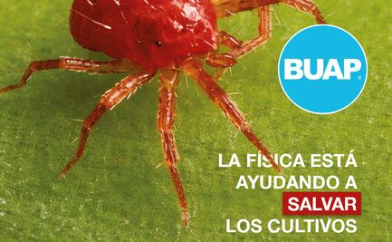 Científicos de la BUAP aplican la física para proteger cultivos de plagas